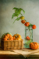 photo-wallpaper-autumn-xqk