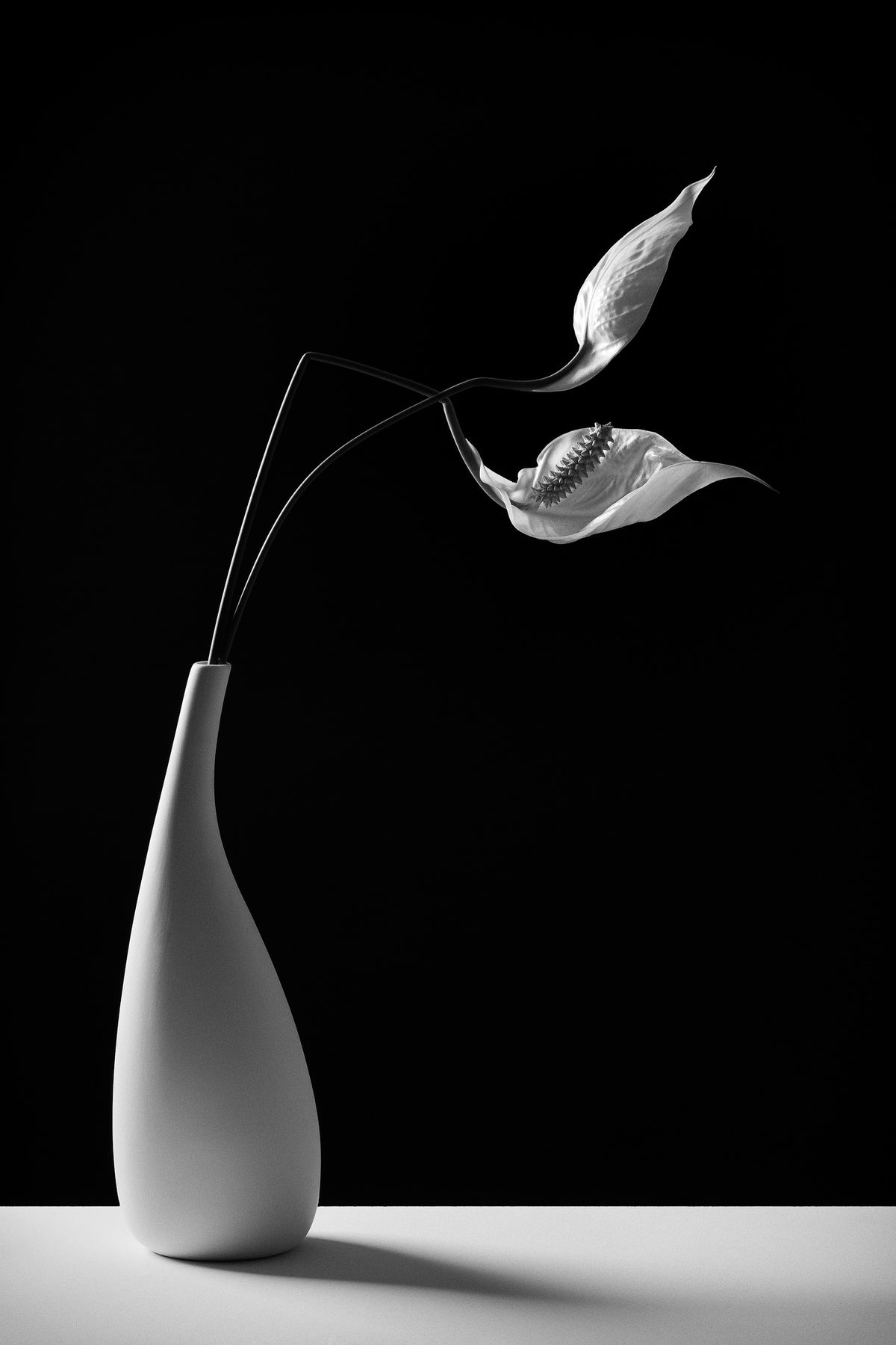 photo-wallpaper-passionately-x