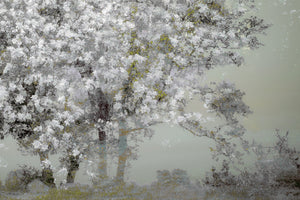photo-wallpaper-spring-xep
