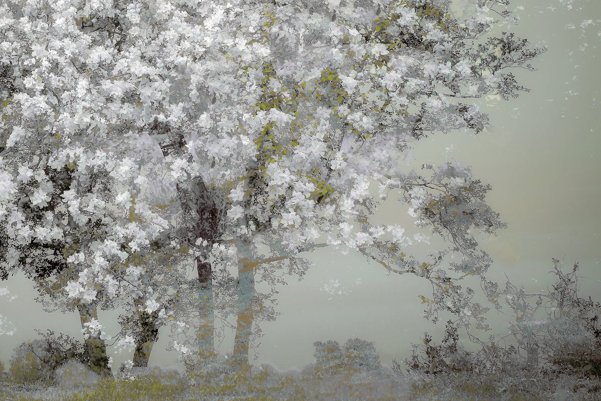 photo-wallpaper-spring-xep