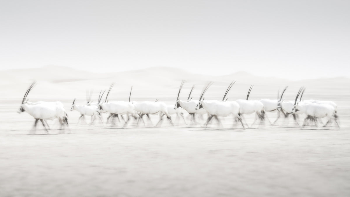 photo-wallpaper-movement-2