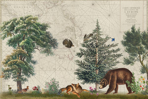 photo-wallpaper-vintage-map-forest-wildlife