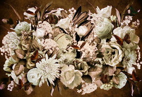 photo-wallpaper-vintage-floral-butterflies