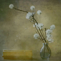 photo-wallpaper-books