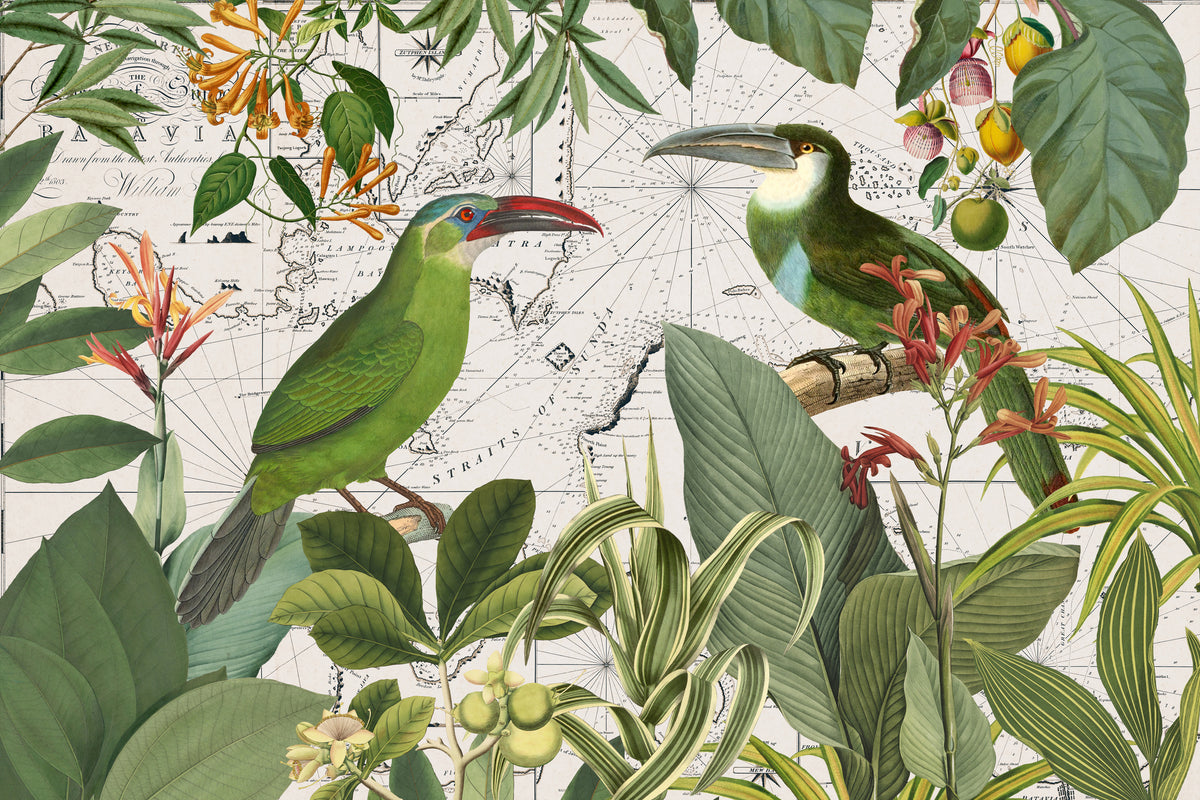 photo-wallpaper-tropical-birds-vintage-map