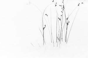 photo-wallpaper-black-on-white