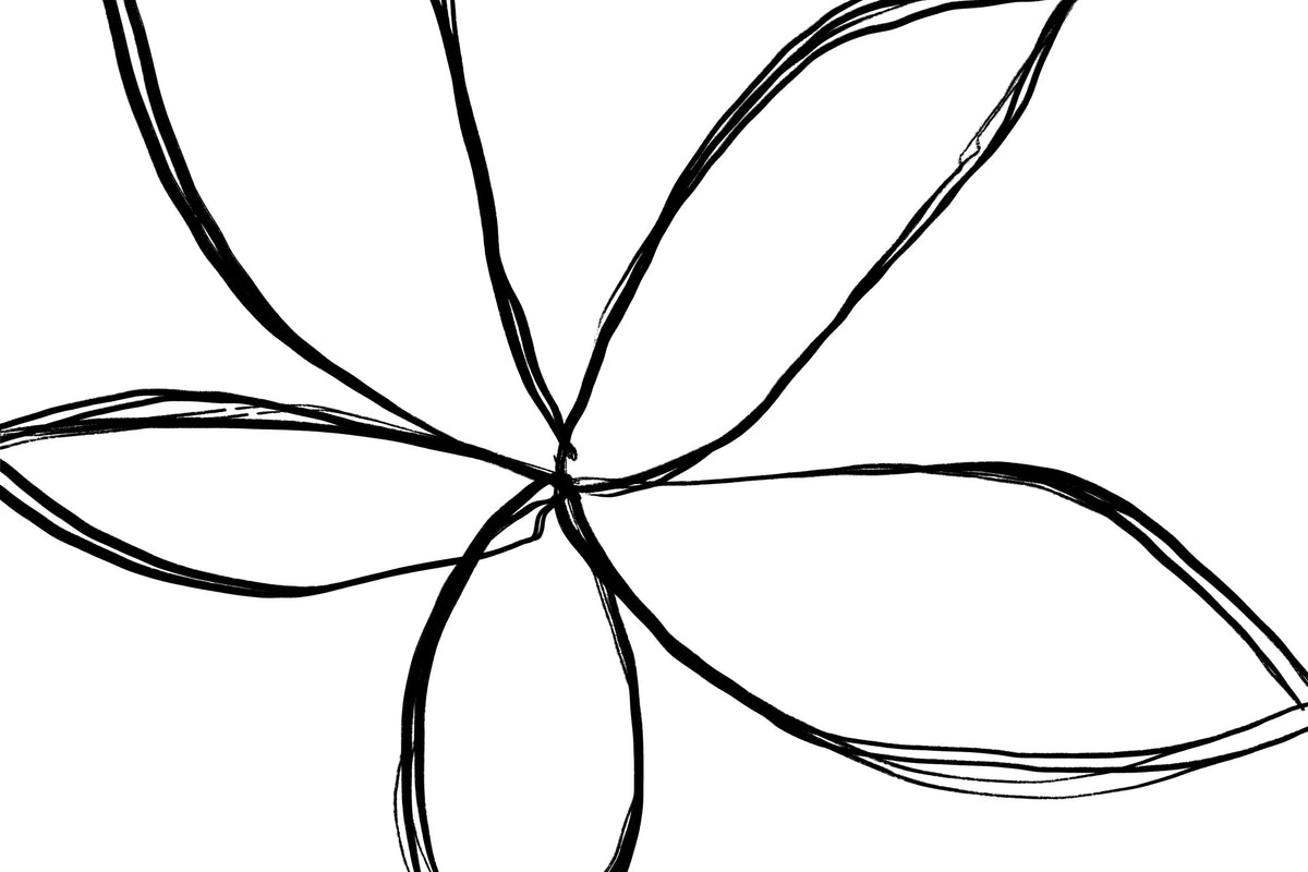 photo-wallpaper-simple-flower