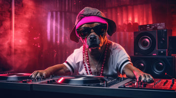 photo-wallpaper-a-hipster-dog-in-shades-dropping-beats-as-the-nightclub-dj