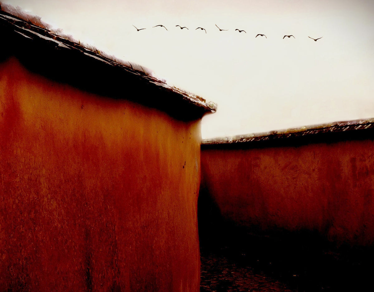 photo-wallpaper-ancient-walls-soaring-birds