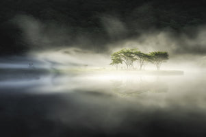 photo-wallpaper-misty-island-trees-reflection