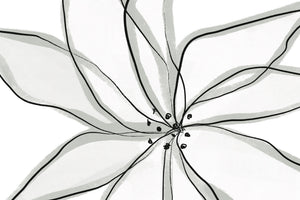 photo-wallpaper-fragile-flower