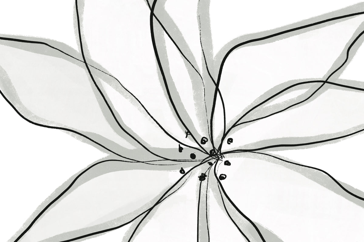 photo-wallpaper-fragile-flower