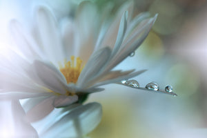 photo-wallpaper-light-touch