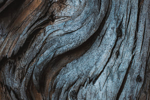 photo-wallpaper-weathered-wood-patterns