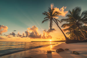 photo-wallpaper-caribbean-palm-beach-at-sunrise-over-a-glowing-sea