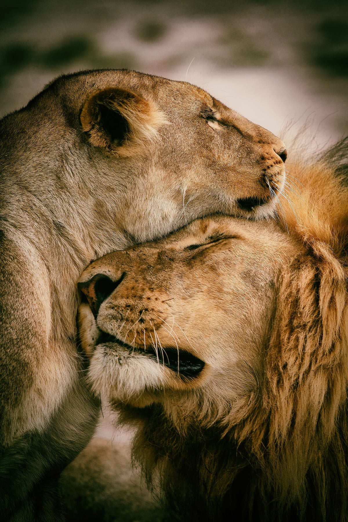 photo-wallpaper-what-is-love-x