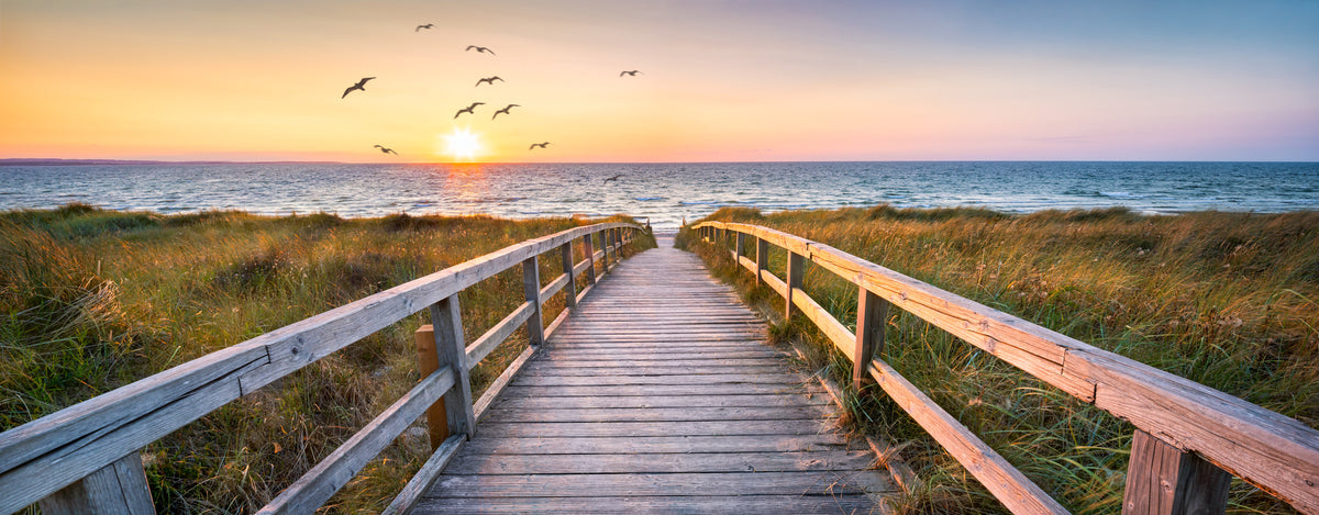 photo-wallpaper-beautiful-dunes-beach-at-sunset-north-sea-germany