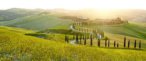 photo-wallpaper-sunny-fields-in-tuscany-italy