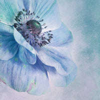 photo-wallpaper-shades-of-blue-x