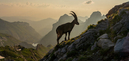 photo-wallpaper-alpstein-in-switzerland