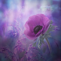 photo-wallpaper-ecstasy-x