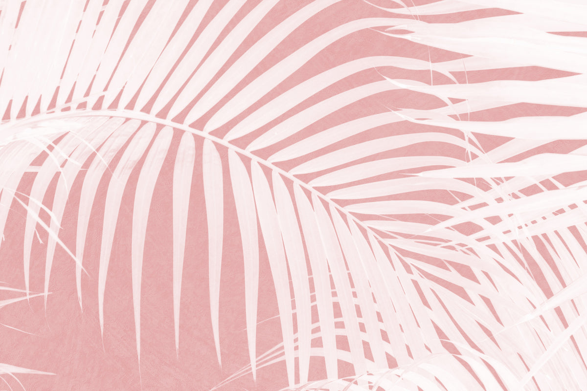 photo-wallpaper-tropical-pink-palms