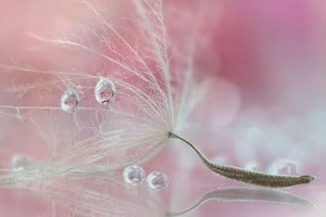 photo-wallpaper-two-of-us-x