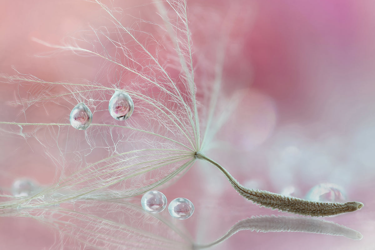 photo-wallpaper-two-of-us-x
