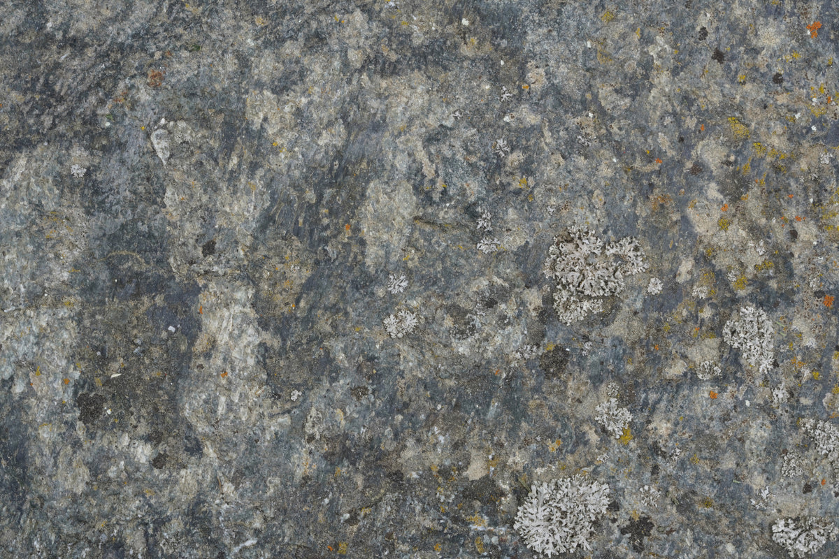 photo-wallpaper-weathered-stone-lichen-texture