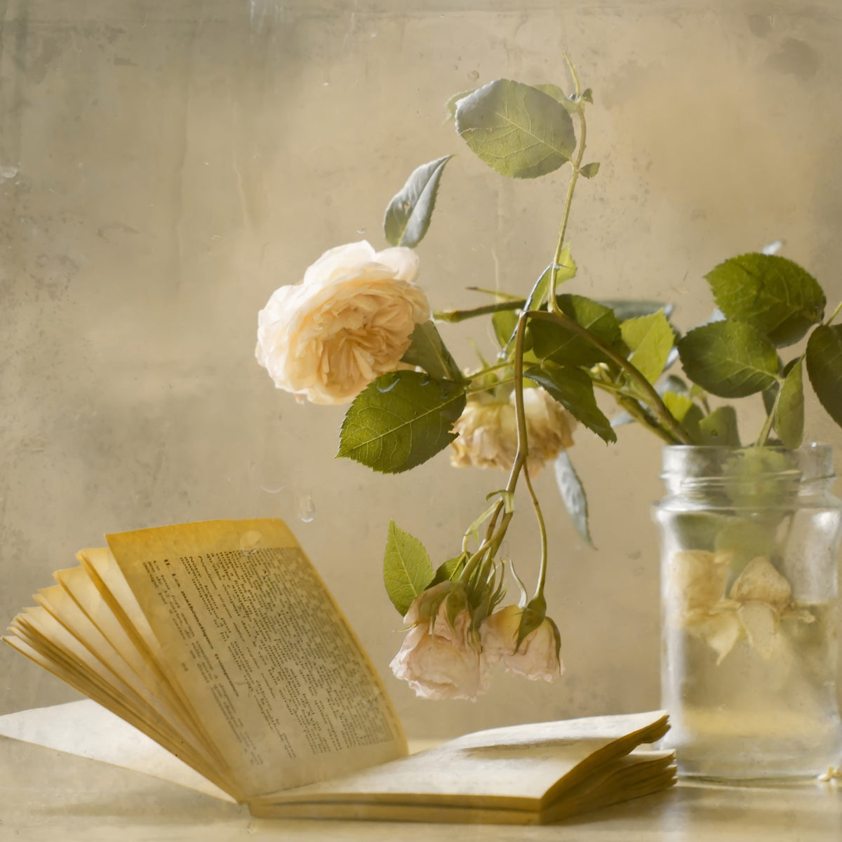 photo-wallpaper-enjoying-a-rainy-day-x