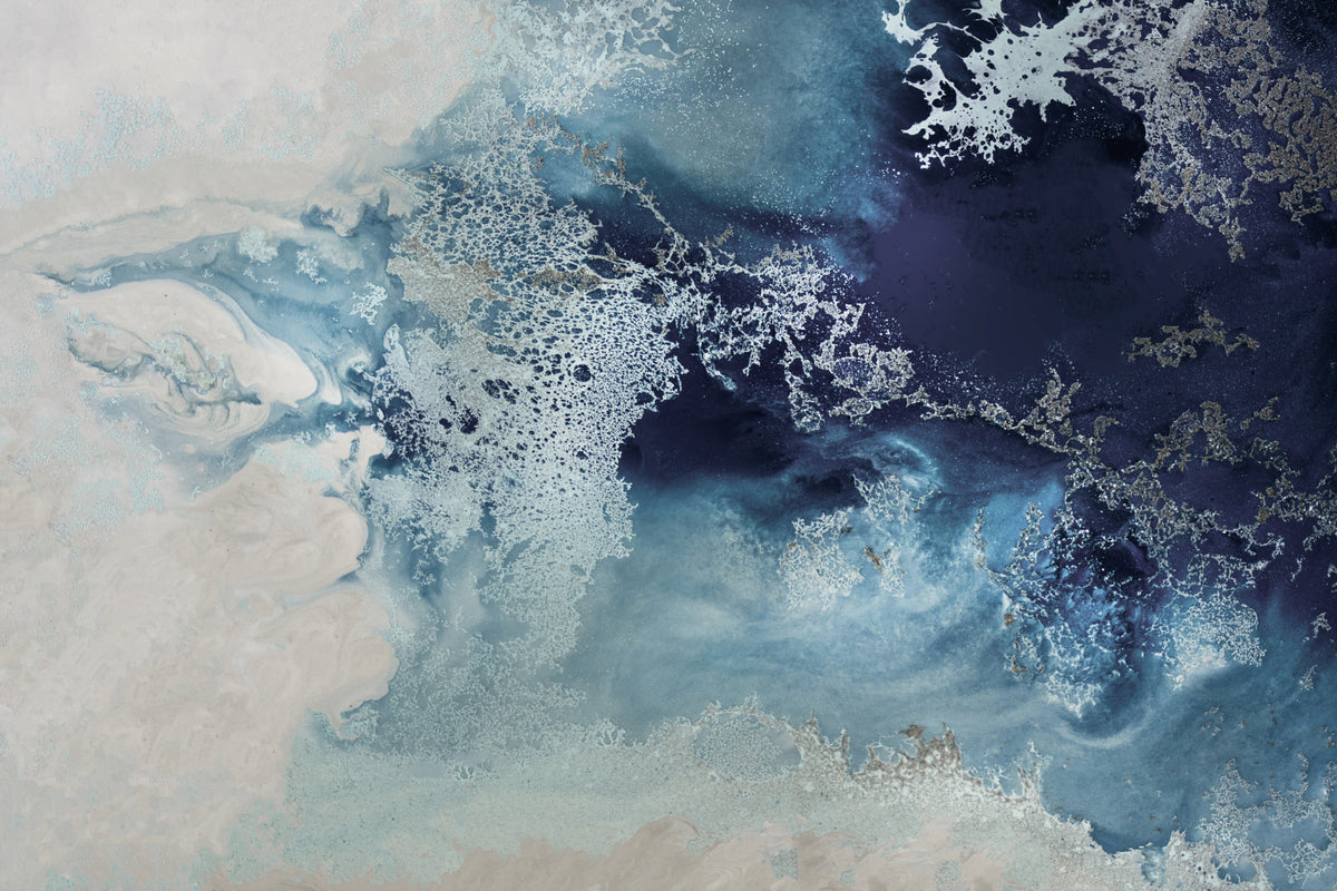 photo-wallpaper-coral-whispers