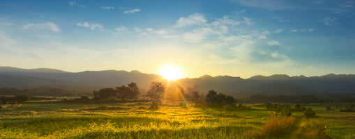 photo-wallpaper-sunset-over-vast-blossoming-meadow-landscape