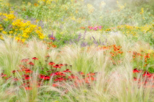 photo-wallpaper-summer-reverie-x