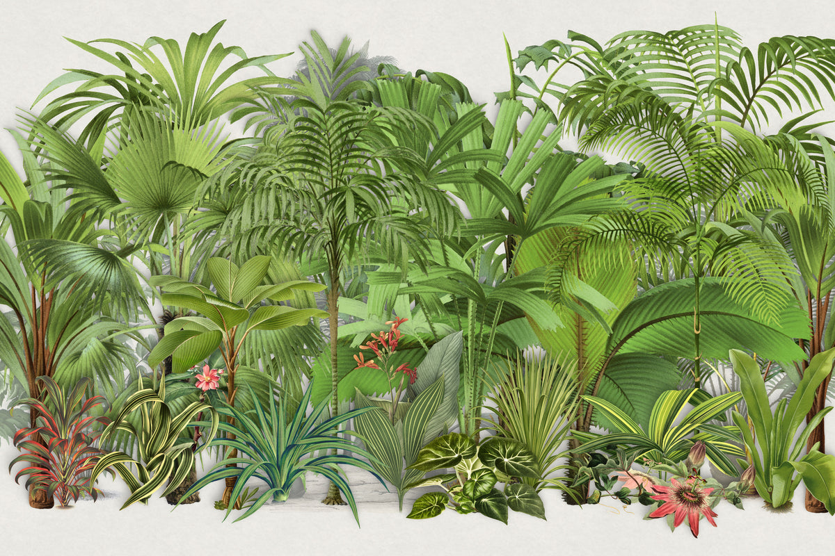 photo-wallpaper-lush-tropical-jungle