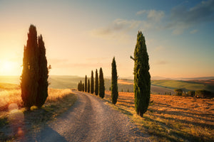 photo-wallpaper-italy-tuscany-countryside-rolling-hills-summer-farmland-and-country-road