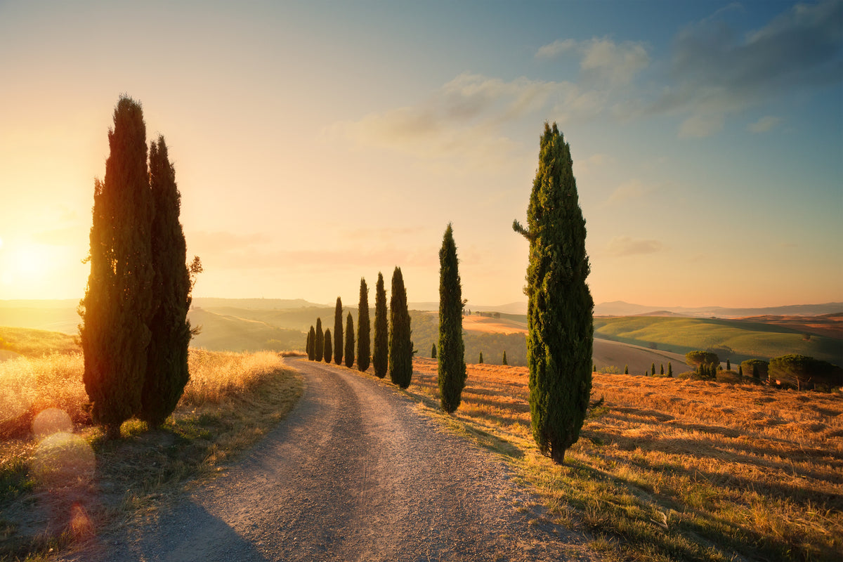 photo-wallpaper-italy-tuscany-countryside-rolling-hills-summer-farmland-and-country-road