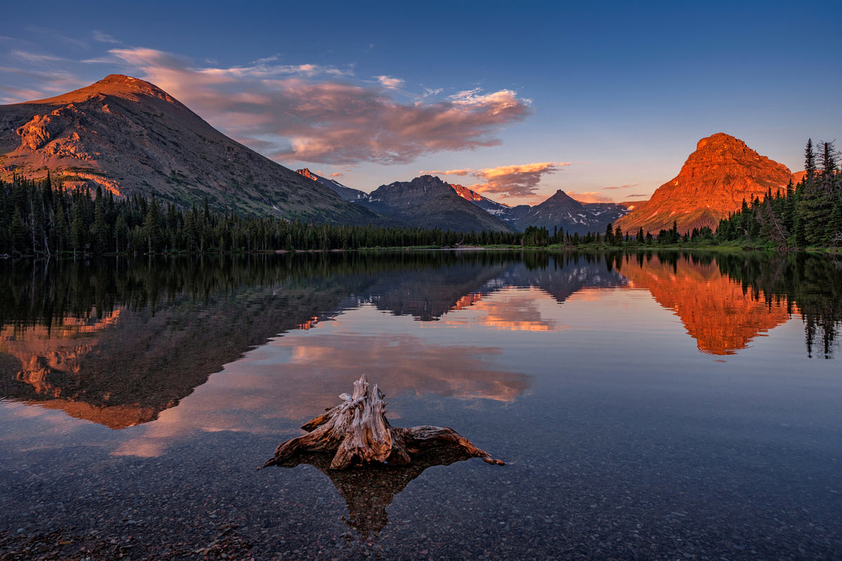photo-wallpaper-delightful-dawn-x