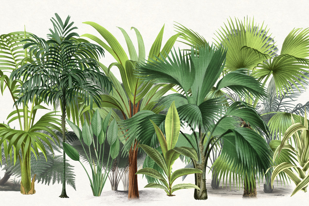 photo-wallpaper-lush-tropical-plants