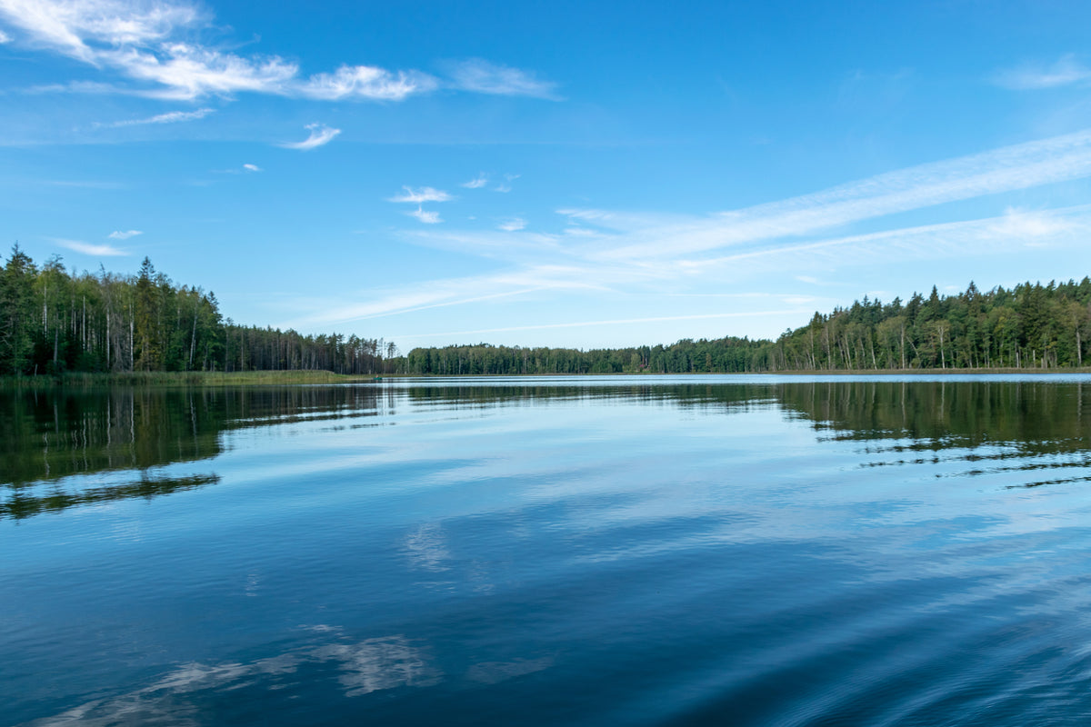 photo-wallpaper-still-forest-lake-beneath-a-wide-summer-sky