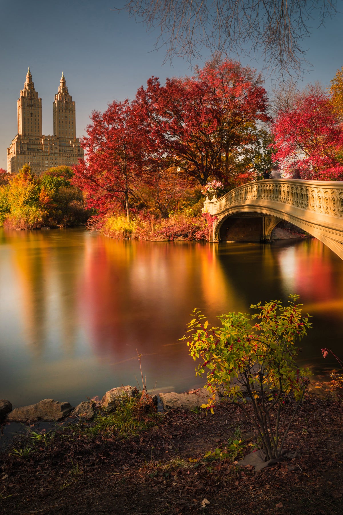 photo-wallpaper-fall-in-central-park-x