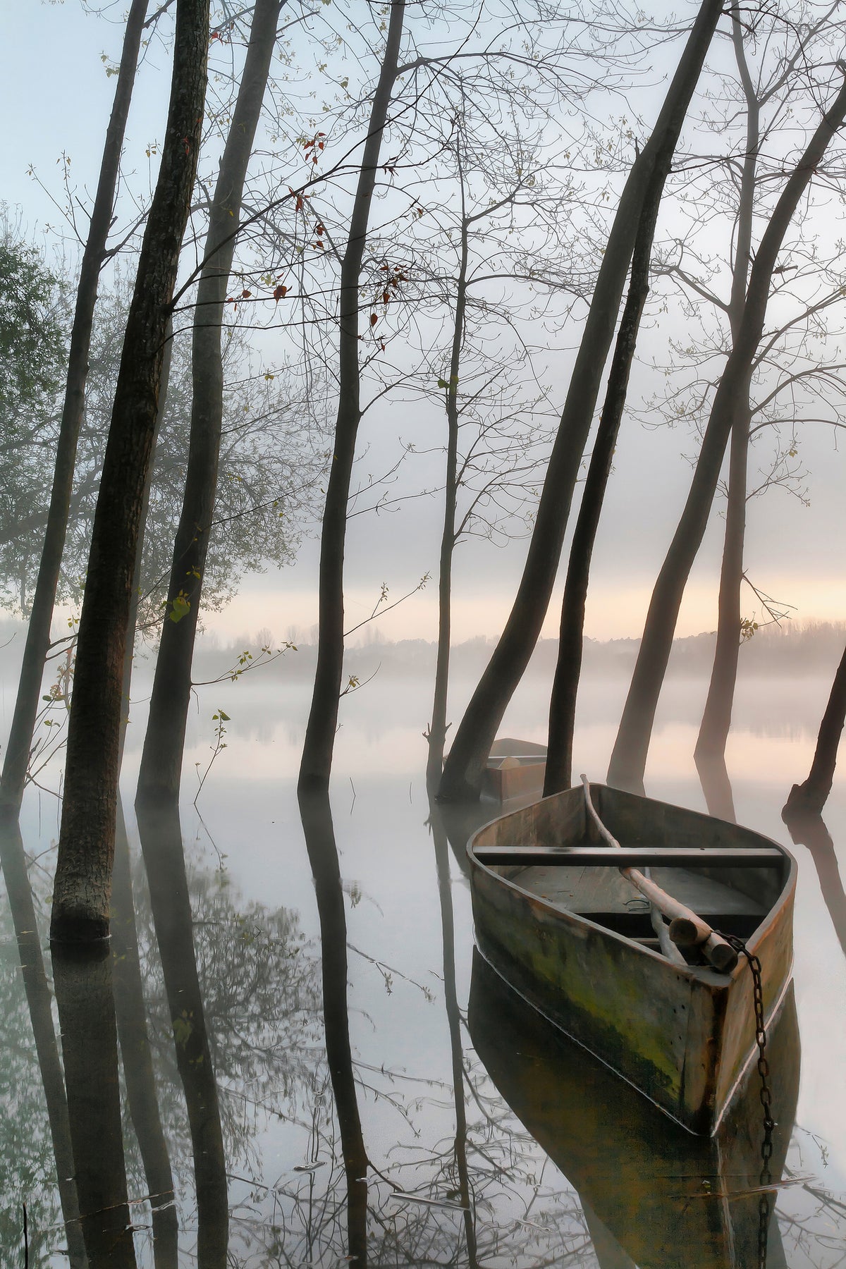 photo-wallpaper-serene-dawn-x