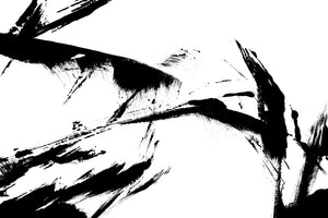 photo-wallpaper-feathery-streak