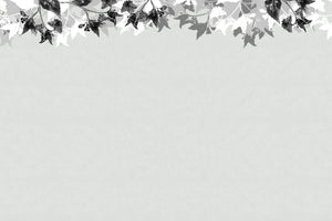 photo-wallpaper-monochrome-leaf-border