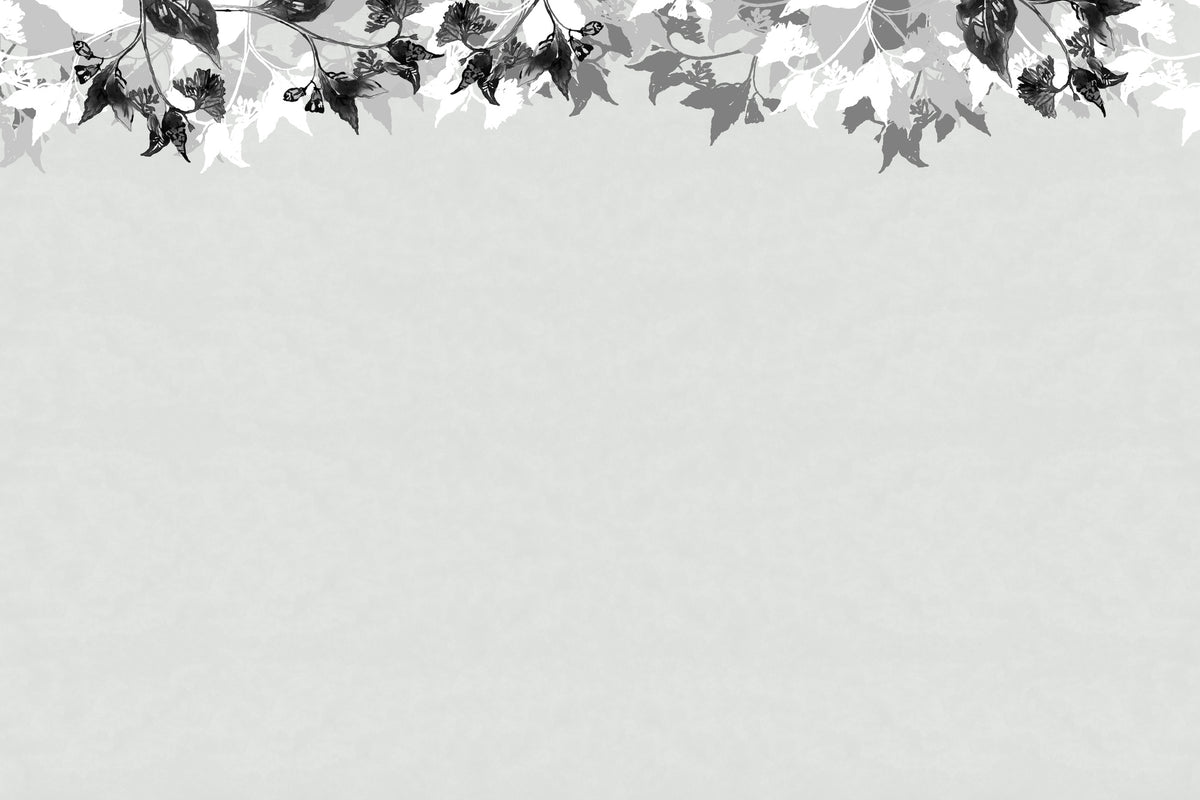 photo-wallpaper-monochrome-leaf-border