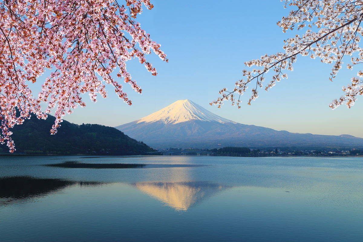 photo-wallpaper-mount-fuji-view-from-lake-kawaguchiko