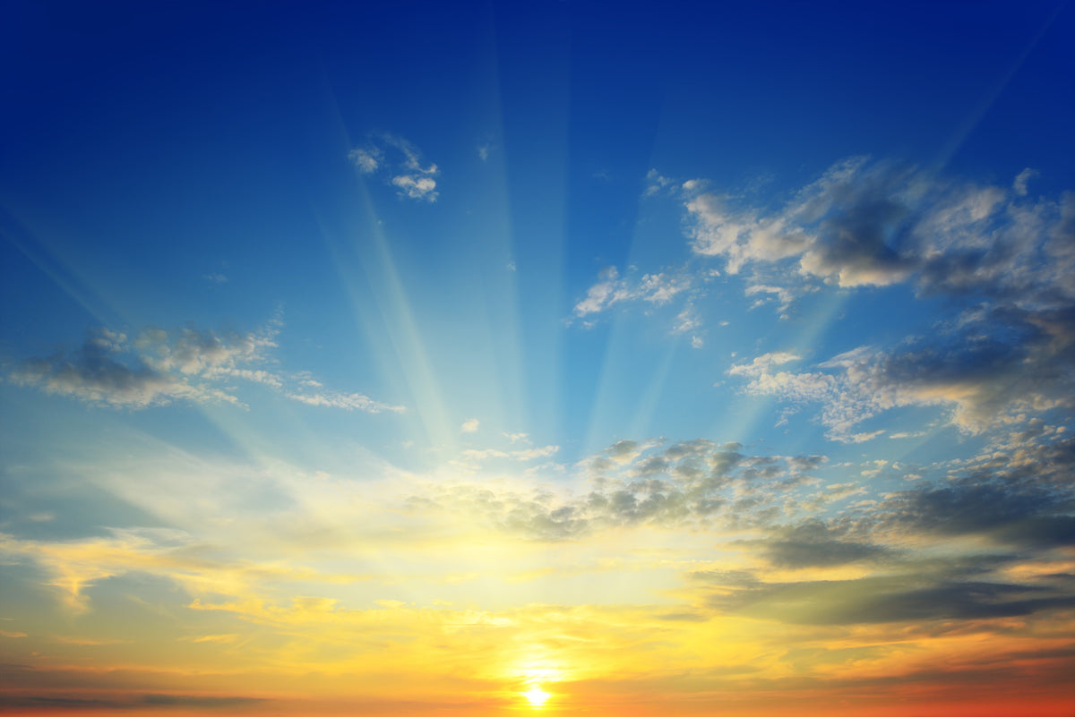 photo-wallpaper-the-sun-above-the-horizon