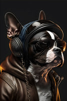 photo-wallpaper-boston-terrier-in-a-leather-jacket-with-aviator-shades-and-headphones
