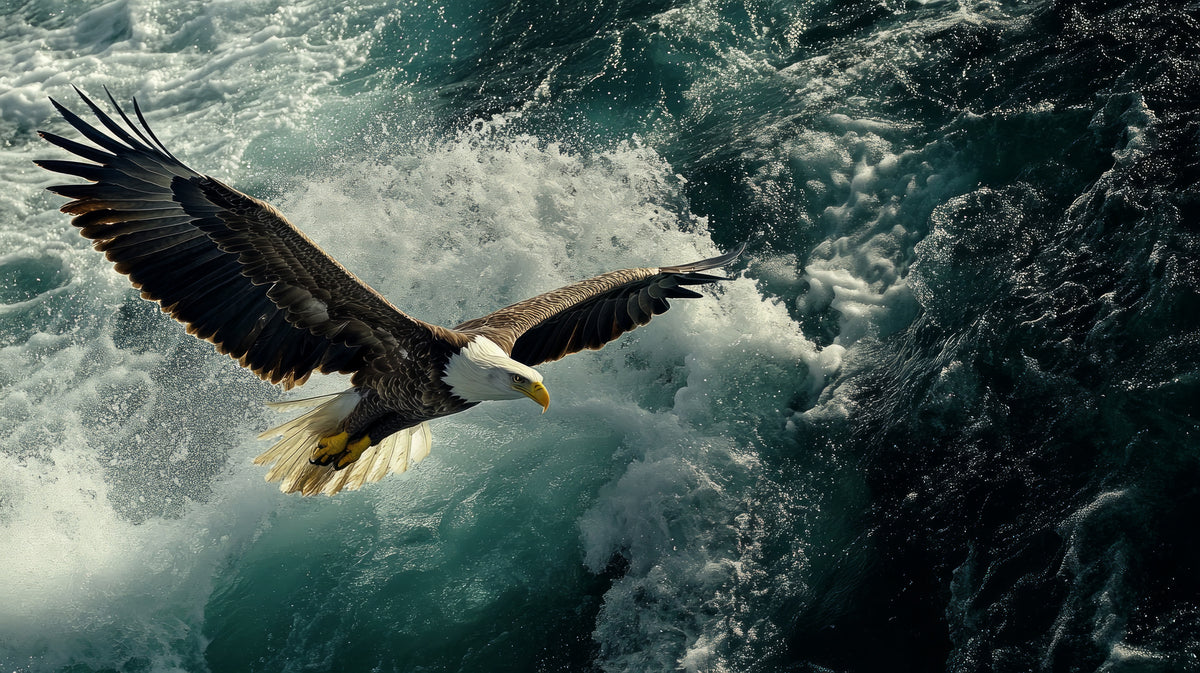 photo-wallpaper-eagle-sea-attack-haliaeetus-albicilla
