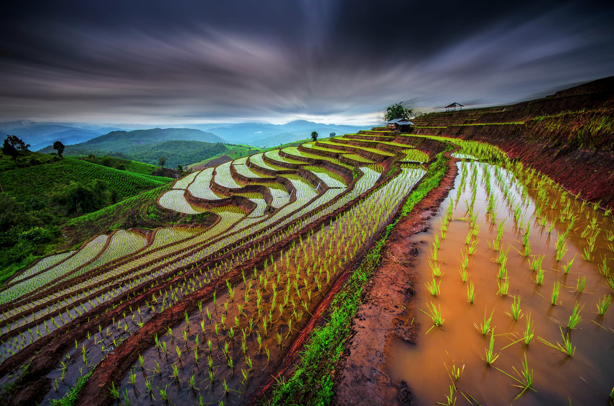 photo-wallpaper-cloudy-rice-terraces