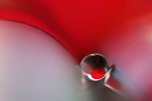photo-wallpaper-between-x